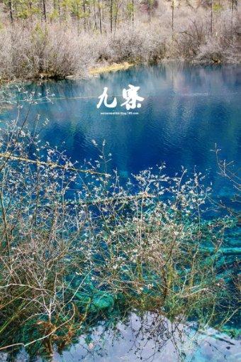 奢侈品牌联名极光蓝，大牌年轻化为何纷纷选择得物？