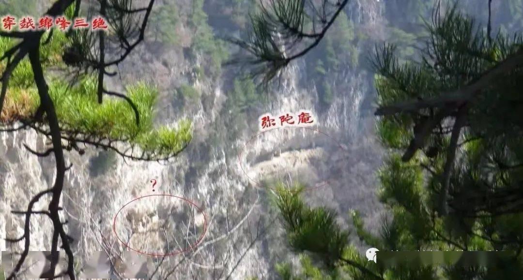事故车子没有处理会被法院收车吗？游戏画面