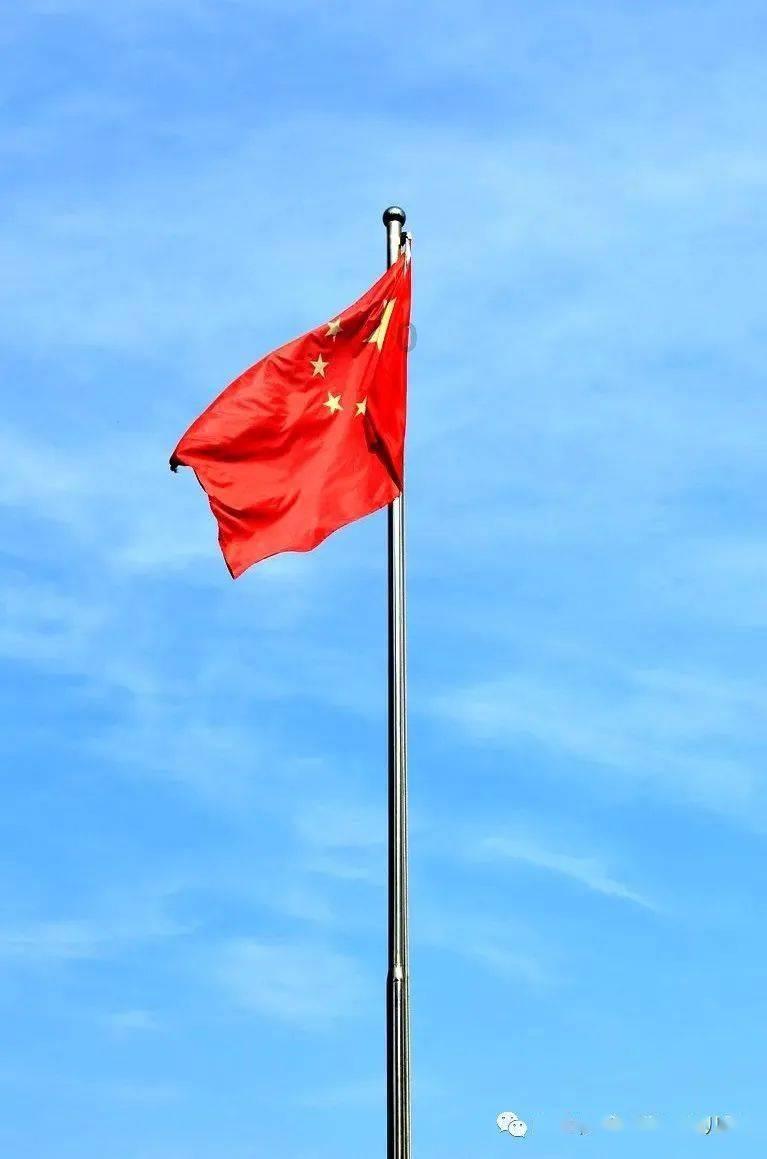 有趣的动物拼图