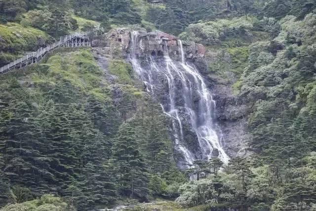 仁清法师:当你发心为众生服务的时候