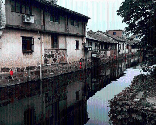 拯救精灵的土地5
